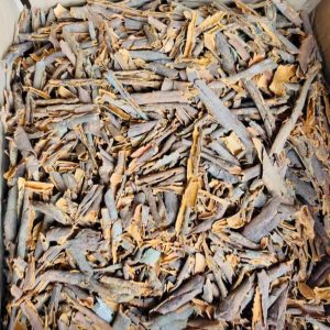 Broken Cassia