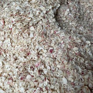 Dried Shallot Slices