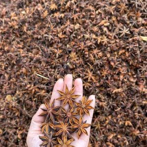 Star Anise