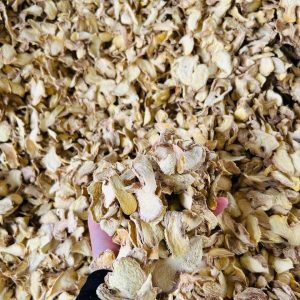 Dried Garlic Slices